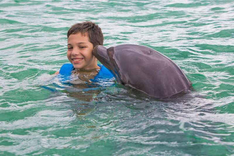 Riviera Maya: Swimming Experience with Dolphins - Who Will Enjoy This Program Most