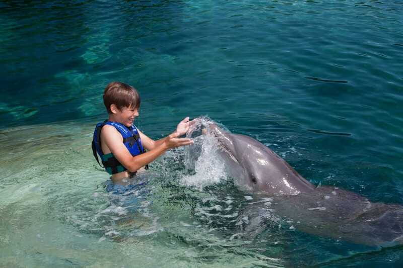 Riviera Maya: Swimming Experience with Dolphins - Should You Book the Dolphin Experience?