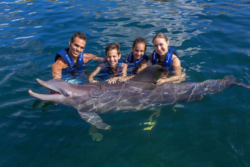 Riviera Maya: Swimming Experience with Dolphins - Twenty Minutes in the Water