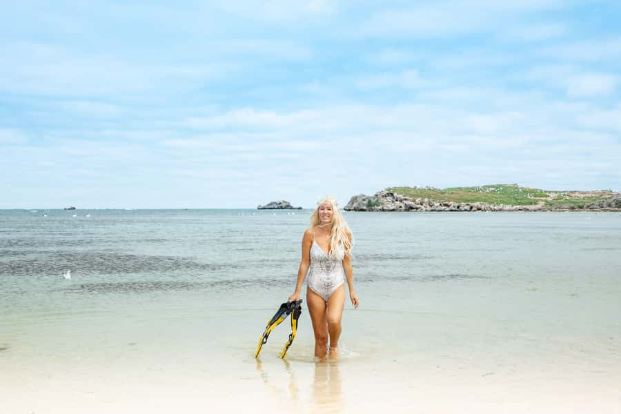 Rockingham: Shoalwater Islands, Dolphins, and Sea Lions Tour - Dolphin watching without a guarantee