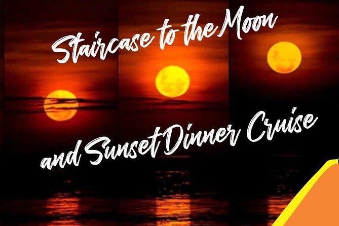 Roebuck Bay Sunset & Snubfin Dolphin Cruise - Dolphin watching without false promises