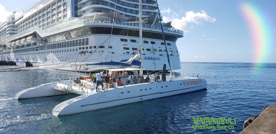 Roseau: Guided Dolphin and Whale Watching Tour With Drinks - Timing, weather, and planning your day