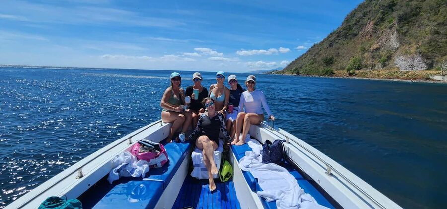 Roseau: Guided Dolphin and Whale Watching Tour With Drinks - Who should book this Roseau whale tour?