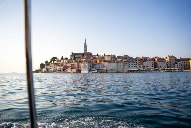 Rovinj: Dolphin Watching Sunset Speedboat Tour with Drinks - Who should book this outing?