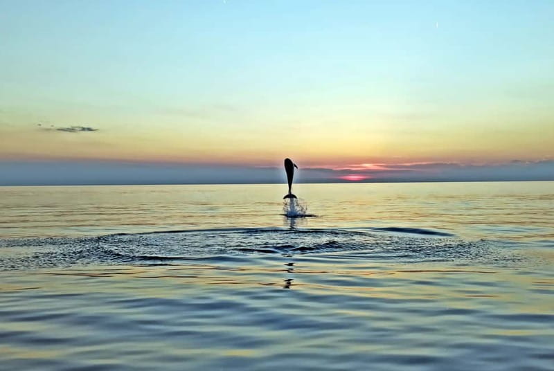 Rovinj: Dolphin Watching Sunset Speedboat Tour with Drinks - The first 15 minutes: Rovinj from the sea
