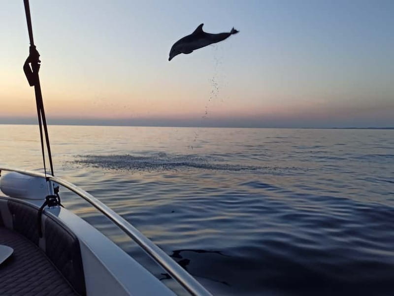Rovinj: Dolphin Watching Sunset Speedboat Tour with Drinks - The 20-minute run toward the archipelago