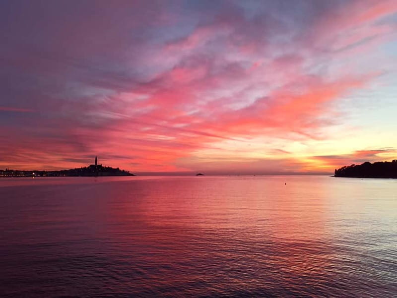 Rovinj: Dolphin Watching Sunset Speedboat Tour with Drinks - The 45-minute search for dolphins