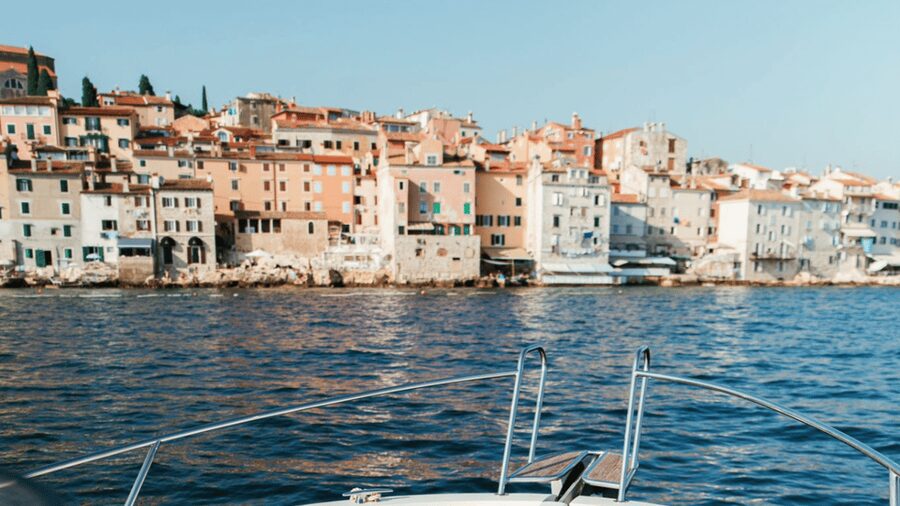 Rovinj: Family Friendly Dolphin Watching Tour - The Boat Question You Should Ask Before Booking