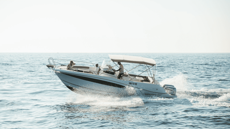 Rovinj: Family Friendly Dolphin Watching Tour - Who Will Enjoy This Tour Most?