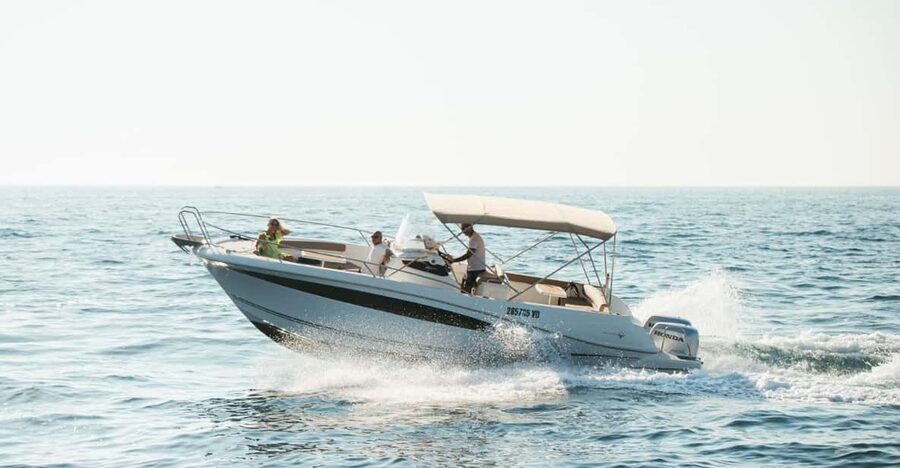 Rovinj: Family Friendly Dolphin Watching Tour - What the Marine Guides Add