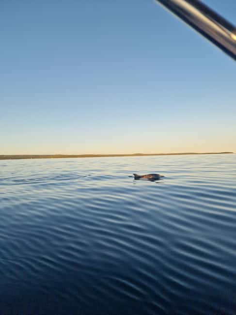 Rovinj: Shared Dolphin and Sunset Tour with Drinks - What the sunset looks like from a shared boat