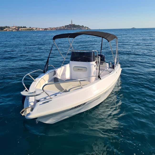 Rovinj: Shared Dolphin and Sunset Tour with Drinks - Beer, soft drinks, and a simple all-in price