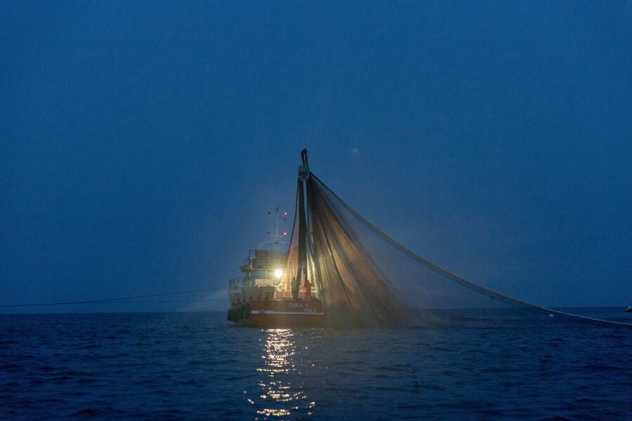 Rovinj: Sunrise Dolphins & Fishermen at Work Speedboat Tour - Practical details before you go