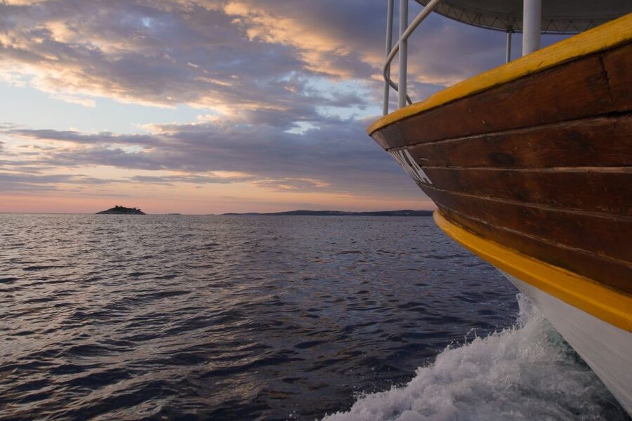 Rovinj: Sunset Boat Trip with Dolphin Watching - Searching for Dolphins in Open Adriatic Water