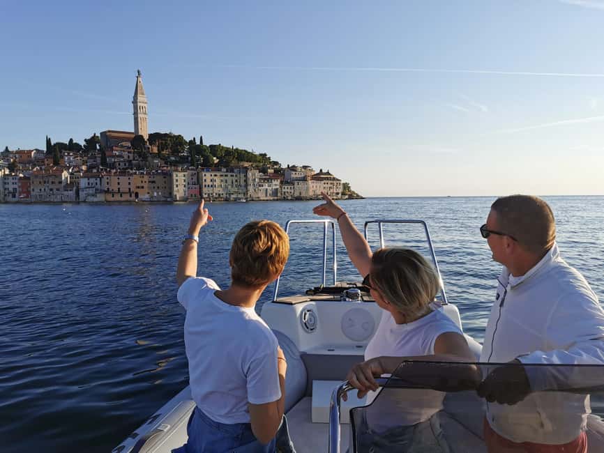 Rovinj: Sunset Speedboat Tour with Dolphin Watching - Key points to know before you book