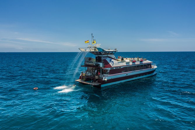 Royal Delfin 3H Dolphin & Whale Watching! Swimming & Lunch! - Diego Hernandez Bay and the swimming stop