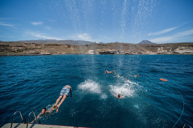 Royal Delfin 3H Dolphin & Whale Watching! Swimming & Lunch! - How the Royal Delfin compares in value