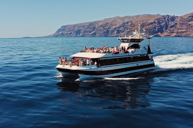Royal Delfin - 4'5H Dolphin & Whale Watching - Los Gigantes Masca - Lunch & Swim - From Puerto Colón to Tenerife’s whale-watching waters