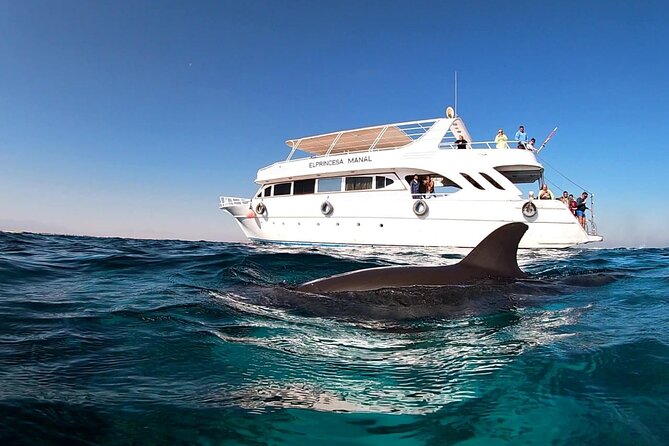 Royal Dolphin House Sea Trip Hurghada - Lunch, soft drinks, and time on board