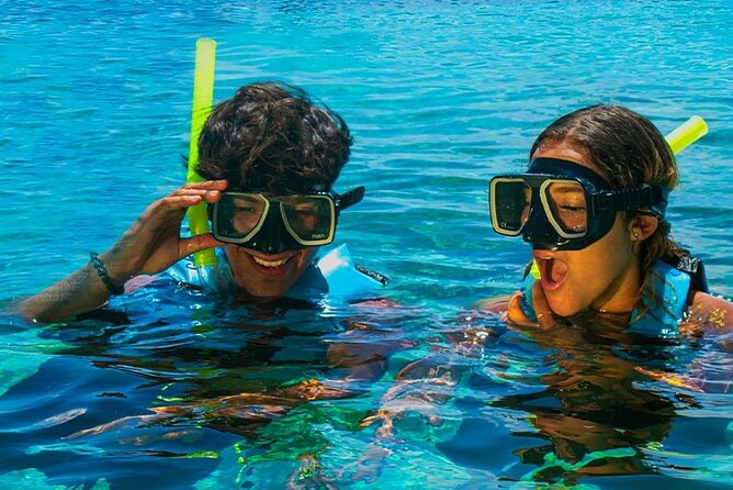 Royal Garragon with Dolphin Encounter in Isla Mujeres - A close look at the included activities