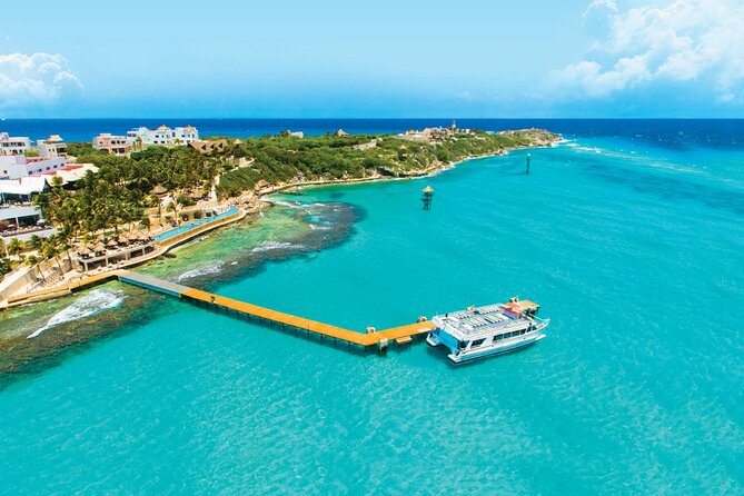 Royal Garragon with Dolphin Encounter in Isla Mujeres - Who will get the best value