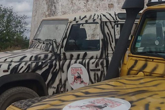 Safari & Boat Tour - Mountains & Dolphins - The four-hour Land Rover trip inland
