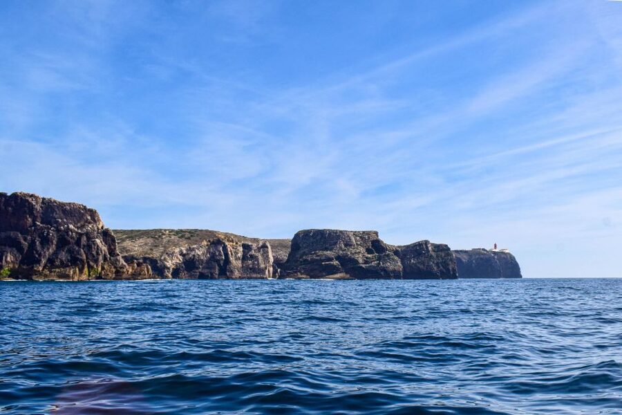Sagres: Wildlife Tour Dolphins and Caves - Looking for Dolphins in Open Atlantic Water