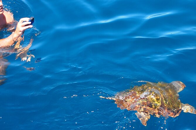 Sailing Boat-always private-always by sail-search for dolphins - How the private format affects the day