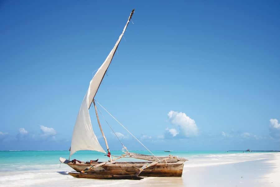 Salaam Cave Tour, Lunch at The Rock, Mnemba Dolphin Tour - A full coastal day from Paje to Mnemba