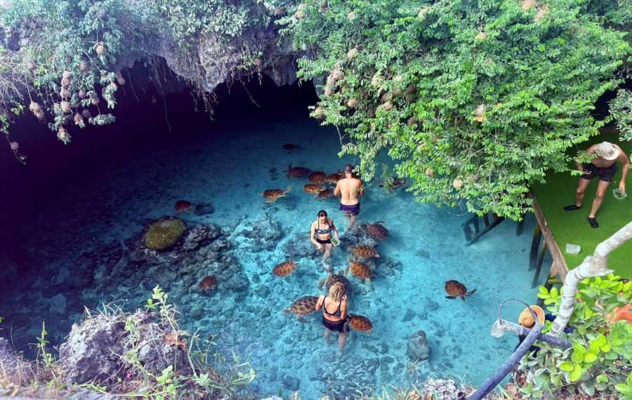 Salaam Cave Tour, Lunch at The Rock, Mnemba Dolphin Tour - Why the private format matters