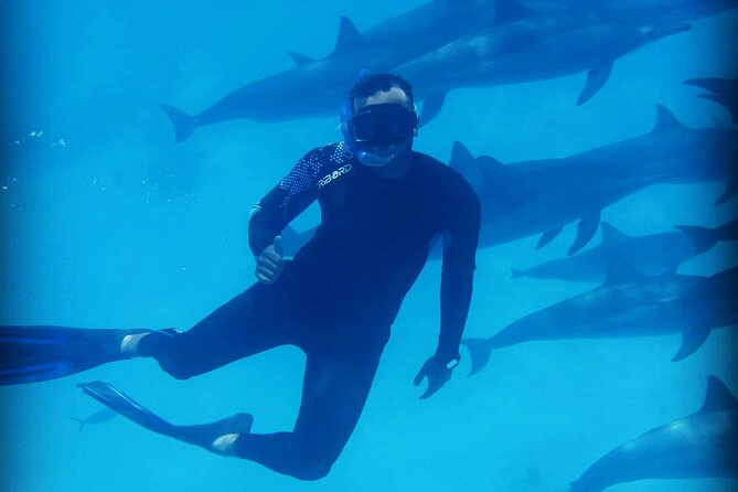 Samadai Dolphin House Snorkel Trip - Marsa Alam - What the $80 price really covers