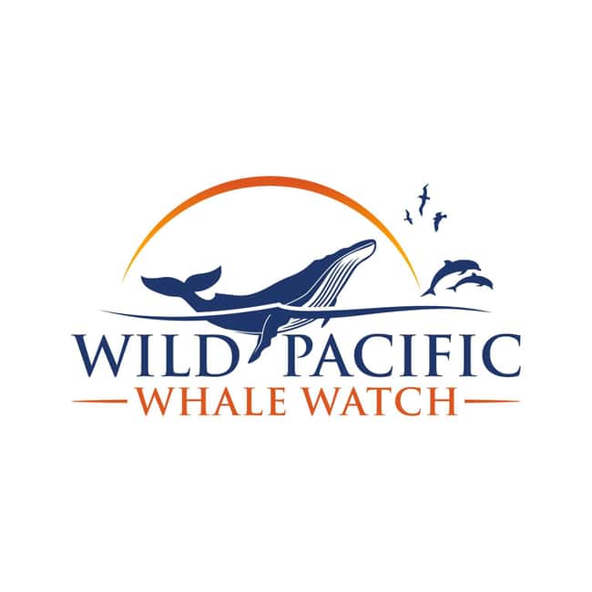 San Diego: Luxury Year-round Whale Watching & Dolphin Tour - Getting comfortable aboard the 82-foot Peregrine