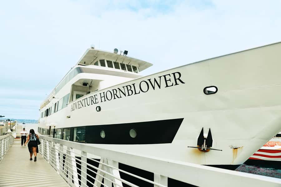 San Diego: Whale and Dolphin Watching Cruise - What Happens When the Animals Stay Away