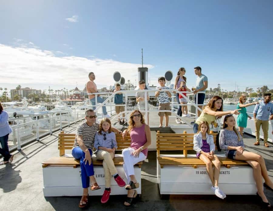 San Diego: Whale and Dolphin Watching Cruise - What the Four-Hour Search Feels Like