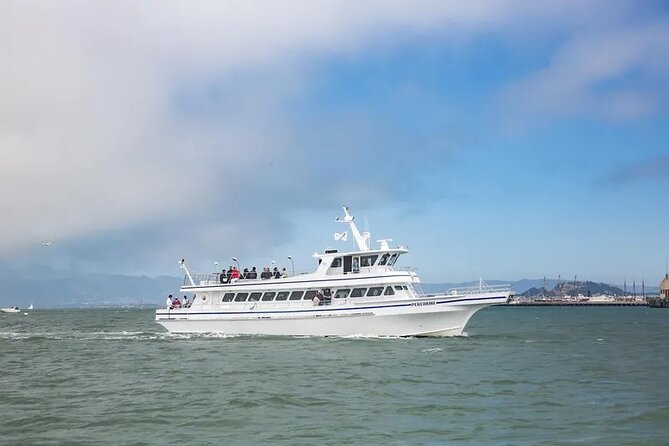 San Diego Whale/Dolphin Watching Cruise Aboard Luxury Vessel - Why Peregrine’s speed helps with wildlife