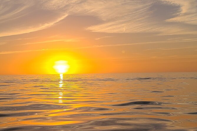 Sandbar, Beach, Dolphin Watching Cruise Sarasota, Florida - Dolphins, Manatees, and Other Wildlife