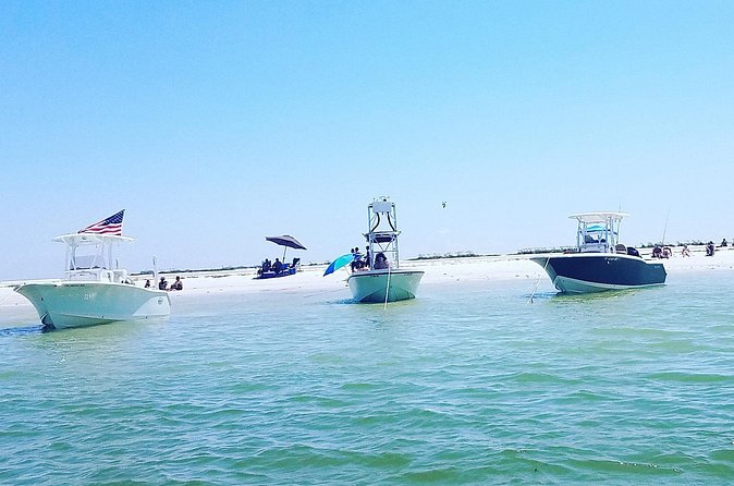 Sandbar, Beach, Dolphin Watching Cruise Sarasota, Florida - Egmont Key, Shell Key, and Other Possible Routes