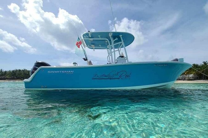 Sandbar, Beach, Dolphin Watching Cruise Sarasota, Florida - How the $495 Group Price Works
