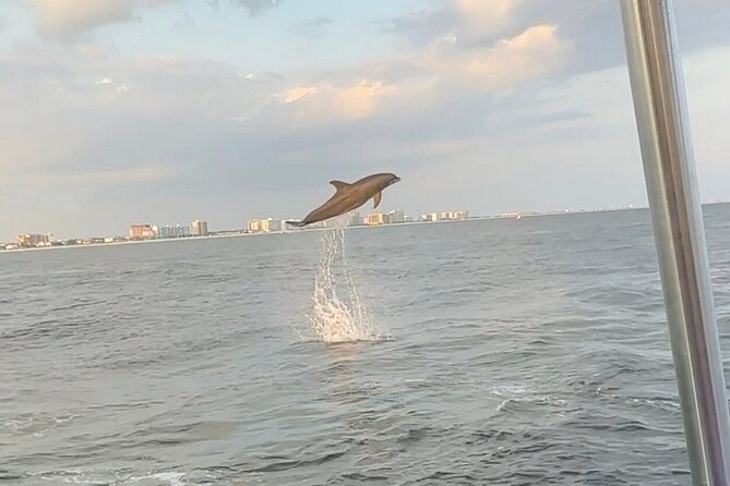 Sandestin Sunset Eco-Dolphin Cruise Aboard Sol y Luna - Searching for dolphins in Choctawhatchee Bay