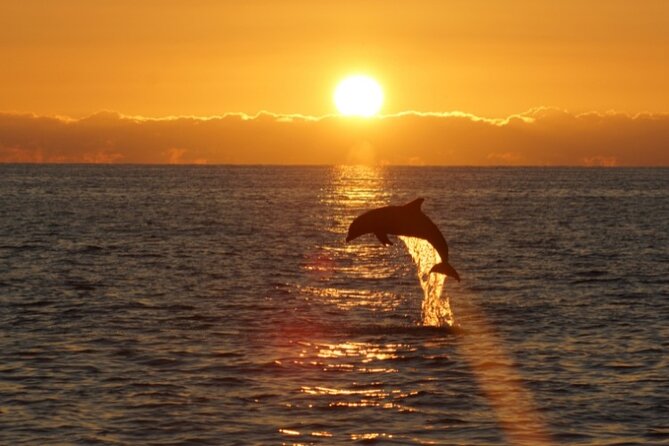 Sandestin Sunset Eco-Dolphin Cruise Aboard Sol y Luna - Who should book this cruise?