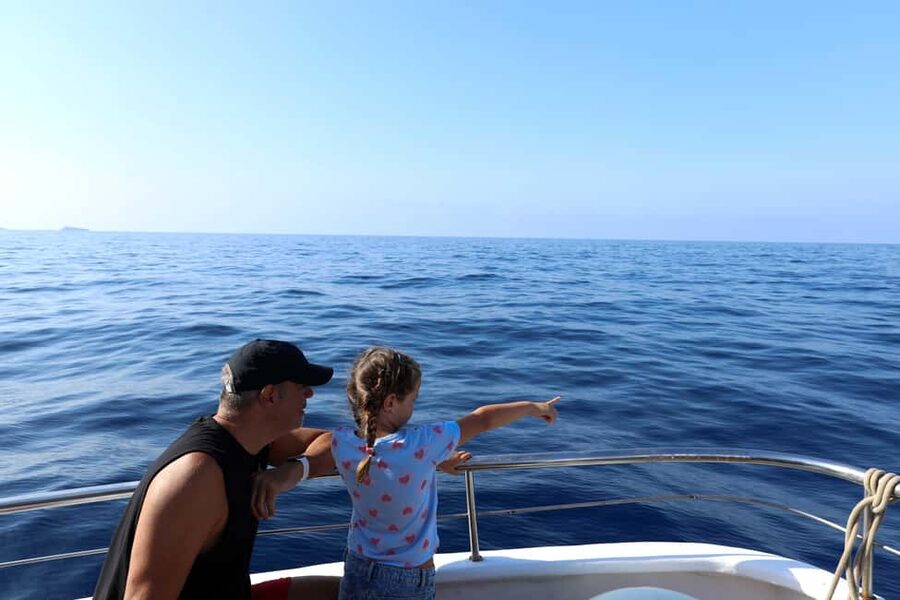 Santa Ponsa: Dolphin Watching Cruise - The longer trip’s swim stop