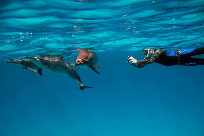 Sataya Dolphin House Boat Trip in Marsa Alam - Setting out from Marsa Alam at 7:30 am