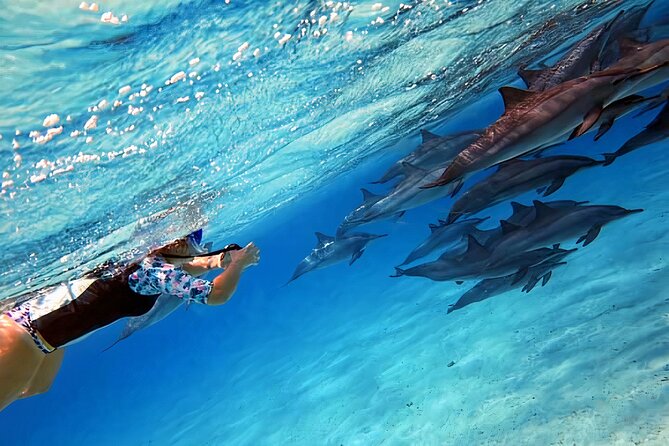 Sataya Dolphin House Snorkel Trip - Marsa Alam - First stop: looking for dolphins in the Sataya area