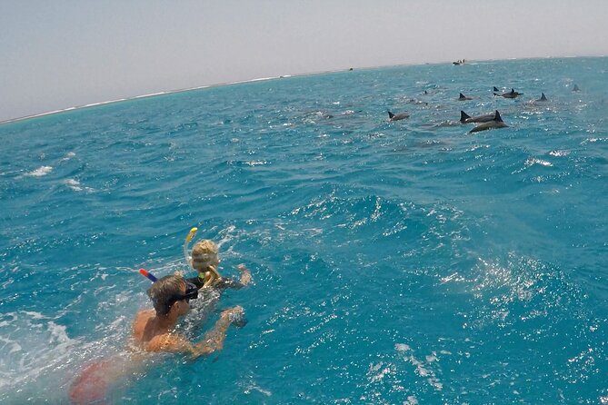 Sataya Dolphin House Snorkel Trip - Marsa Alam - Lunch on board, with time to rest