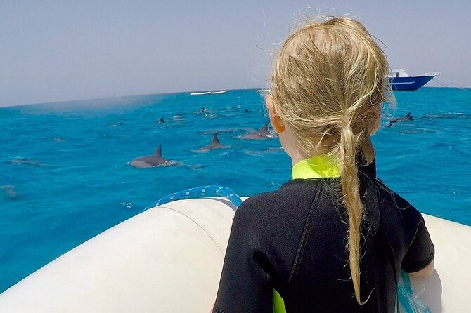 Sataya Dolphin House Snorkel Trip - Marsa Alam - Who should book this Marsa Alam excursion