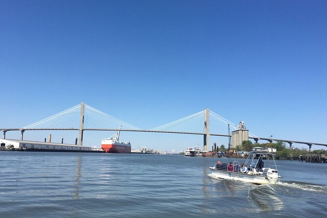Savannah Coastal Dolphin Eco Tour - What This Savannah Dolphin Tour Actually Feels Like