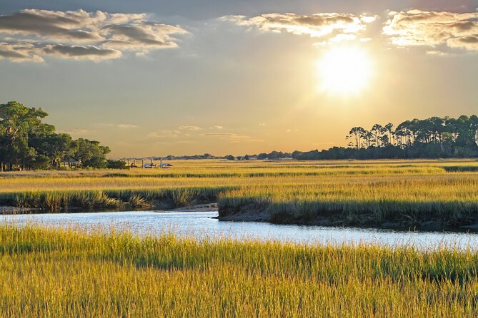 Savannah Coastal Dolphin Eco Tour - Seeing Old Fort Jackson From the Water