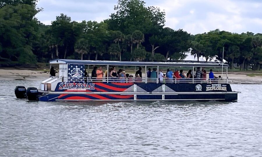 Savannah: Dolphin Spotting and Wildlife Eco Cruise - What makes this cruise worth your time