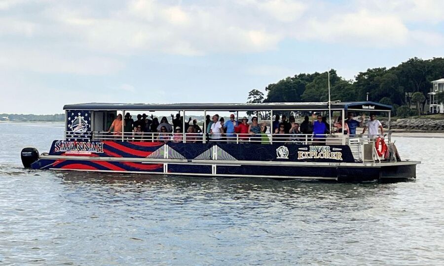 Savannah: Dolphin Spotting and Wildlife Eco Cruise - Watching for dolphins in their home waters