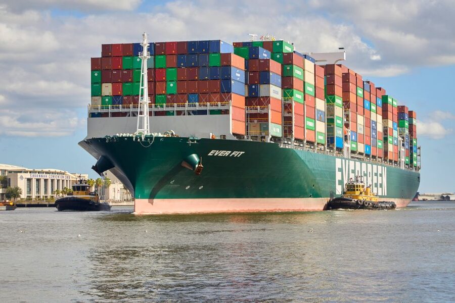 Savannah: Dolphin Spotting and Wildlife Eco Cruise - The guides make the difference